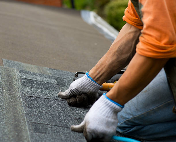 Best Emergency Roof Repair Services  in Belfair, WA